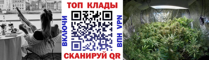Где купить наркоту Белая Холуница A-PVP  Бошки Шишки  АМФЕТАМИН  КОКАИН 