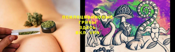 кокаин перу Бородино