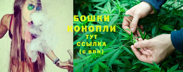 гашиш Богданович