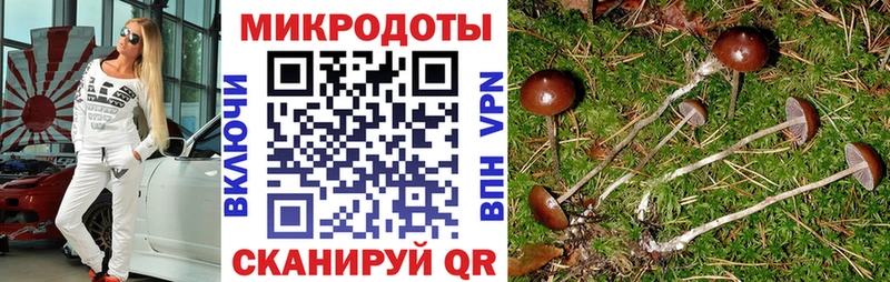 наркотики  Белая Холуница  Псилоцибиновые грибы Psilocybine cubensis 